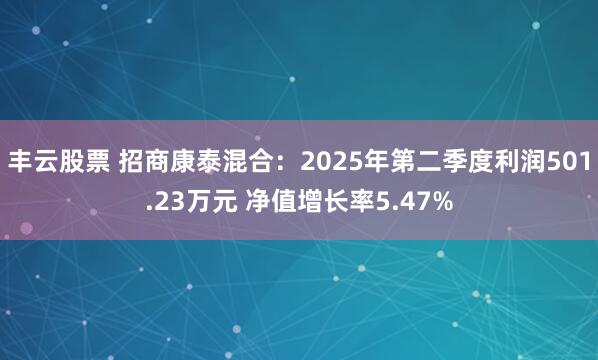 丰云股票 招商康泰混合：2025年第二季度利润501.23万元 净值增长率5.47%